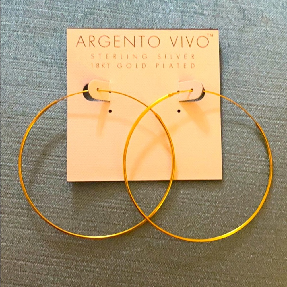 Argentine Avi I extra large endless hoop earrings